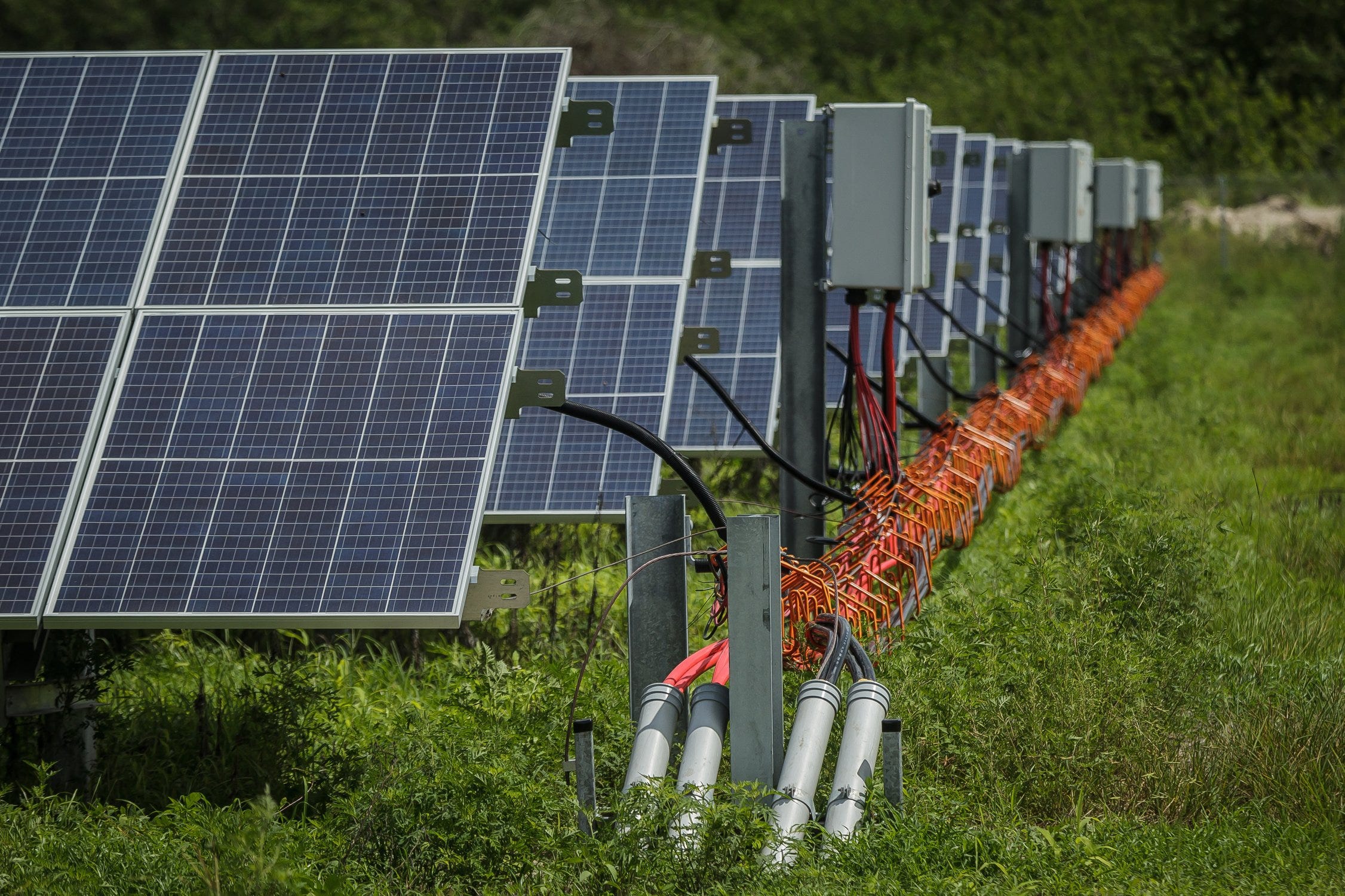 exploring-floridas-solar-farms-a-promising-future-for-renewable-energy